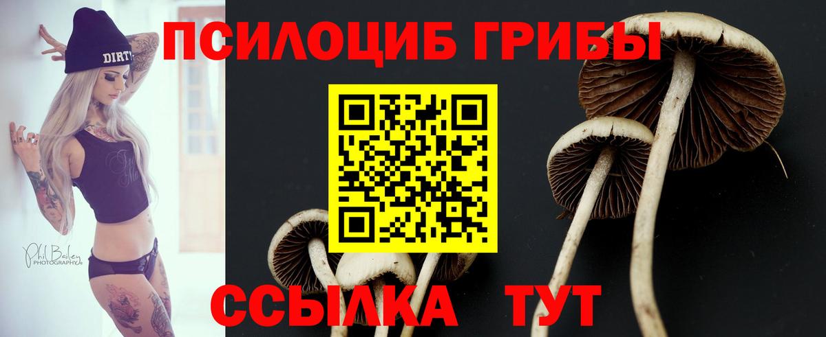 Псилоцибиновые грибы мицелий Мценск