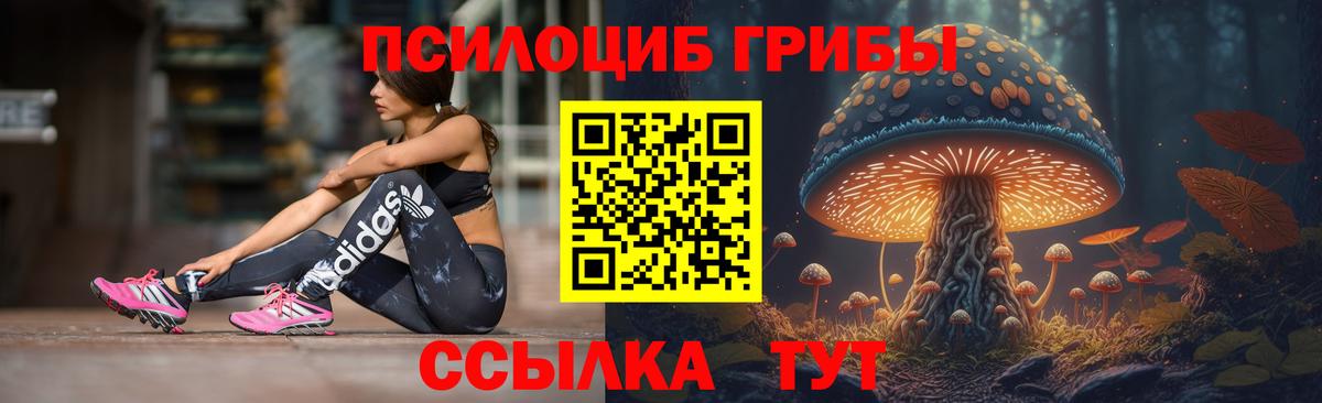 купить наркоту  Псилоцибиновые грибы прущие грибы  Вход с VPN  Мценск 
